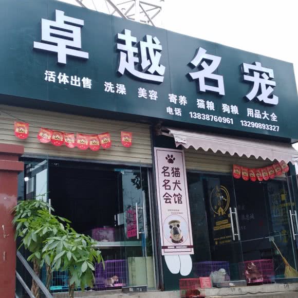 卓越名宠:南阳市宛城区独山大道附近