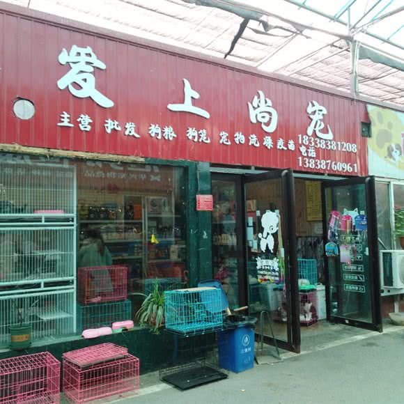 爱上尚宠:南阳市宛城区独山大道附近