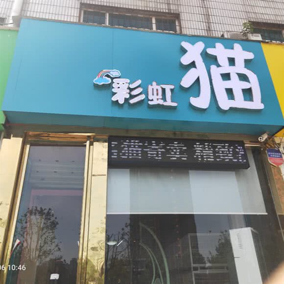 彩虹猫:南阳市宛城区独山大道附近