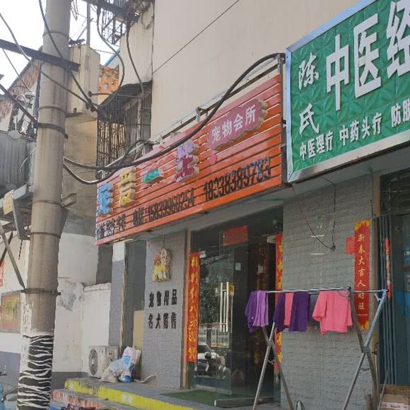 宠爱一生宠物会所(和平街店):南阳市宛城区大统/府衙附近