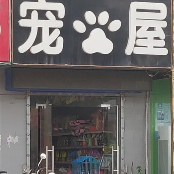 宠屋:南阳市宛城区滨河中路附近
