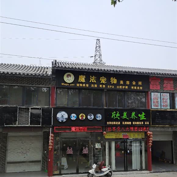 魔法宠物:南阳市卧龙区武侯祠附近
