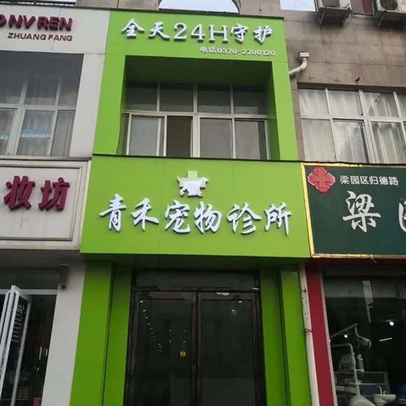 青禾宠物诊所(梁园区店):商丘市梁园区火球商业中心附近