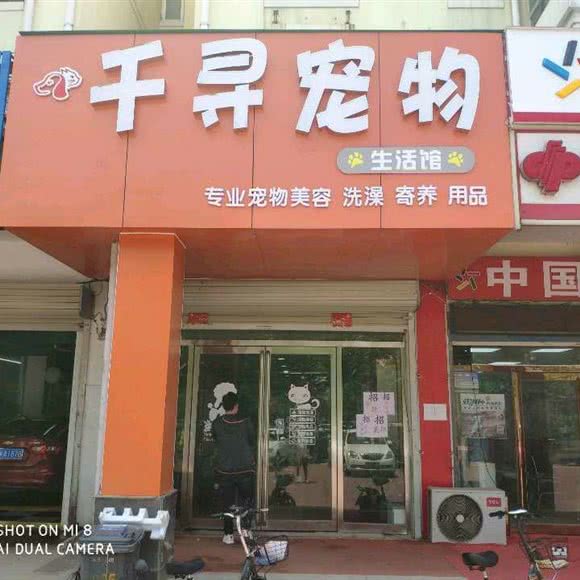 千寻宠物:商丘市梁园区商丘工学院附近