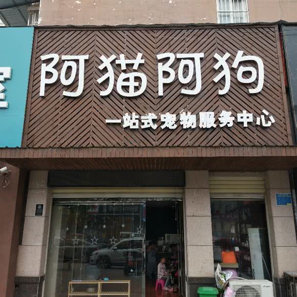 阿猫阿狗:商丘市睢阳区新城国际附近