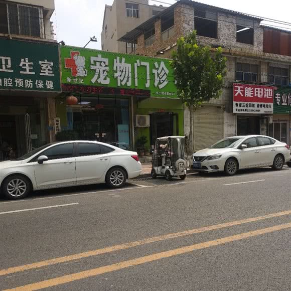 新世纪宠物门诊:商丘市睢阳区帝和附近