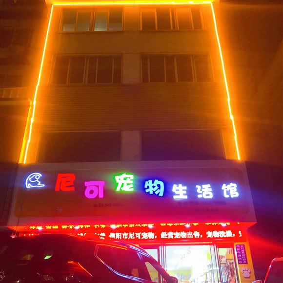 尼可宠物生活馆:信阳市浉河区和美广场/浉河公园附近