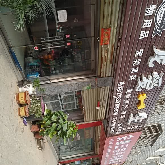 宠爱一生狗狗工作室:信阳市平桥区明港东站附近