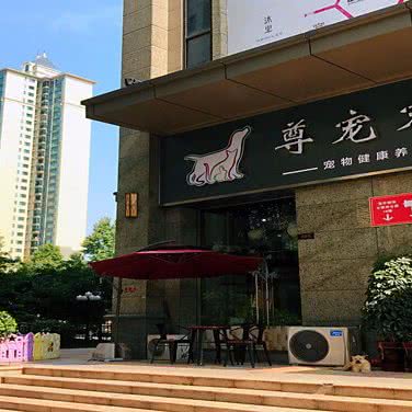 尊宠健康养护中心:信阳市平桥区恒大城市广场附近