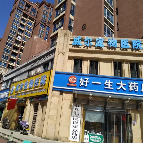威尔宠物医院(冠景瑞园店):信阳市平桥区恒大城市广场附近