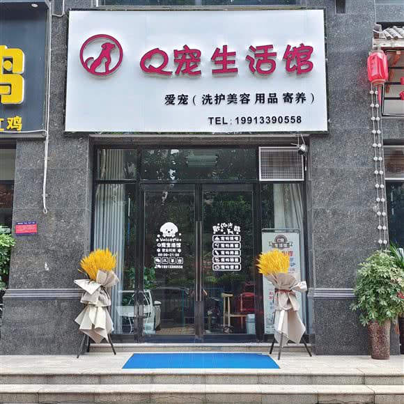 P宠生活馆:周口市川汇区川汇河北/北花园附近