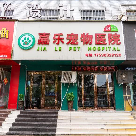 嘉乐宠物医院:周口市川汇区大庆路附近