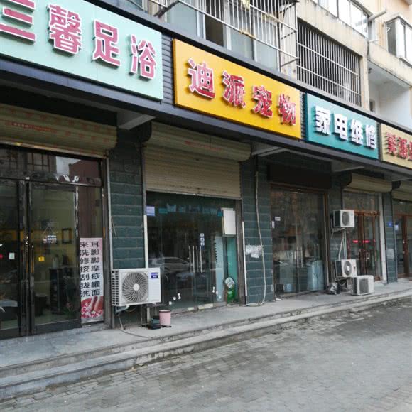 迪派宠物:周口市淮阳区淮阳区附近