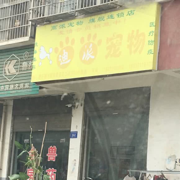 迪派宠物:周口市淮阳区淮阳区附近