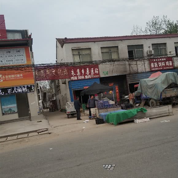 朱集乡兽医站:周口市淮阳区淮阳区附近