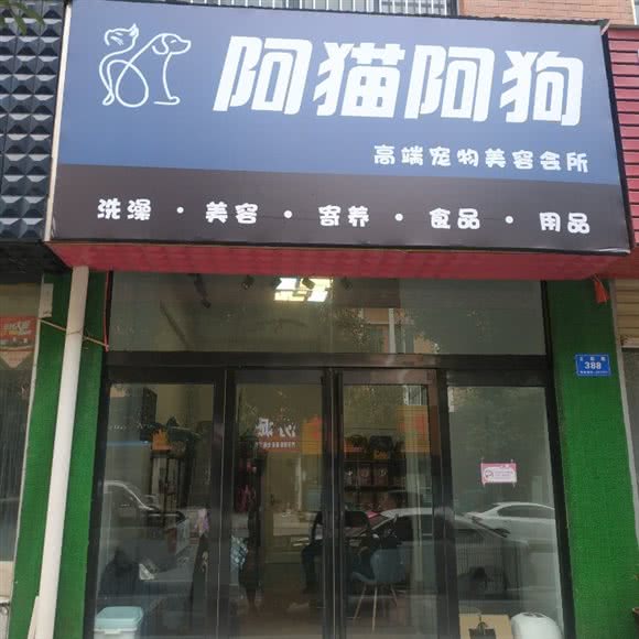 阿猫阿狗面包店:驻马店市驿城区黄淮学院附近