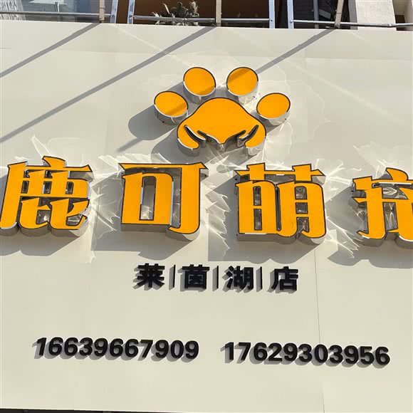 鹿可萌宠:驻马店市驿城区驿城区政府附近