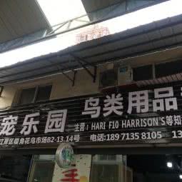鹦宠乐园:武汉市江岸区解放公园/武汉天地附近