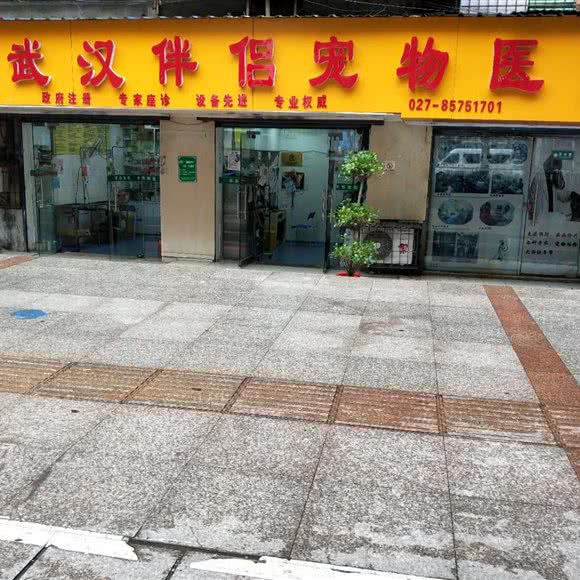 武汉伴侣宠物医院(新华店) :武汉市江岸区西北湖附近