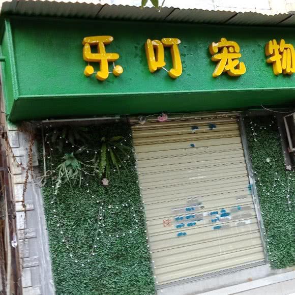 乐叮宠物狗:武汉市江岸区港澳台风情街附近