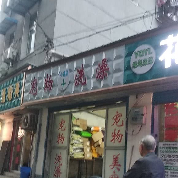 宠物洗澡:武汉市江岸区港澳台风情街附近