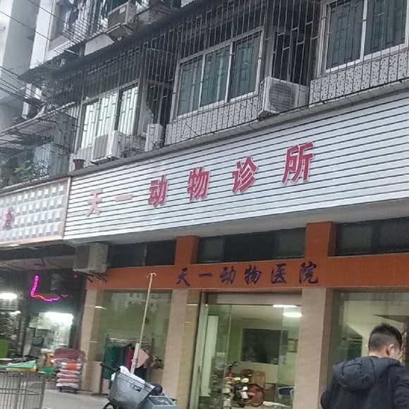 天一宠物会所:武汉市江岸区港澳台风情街附近