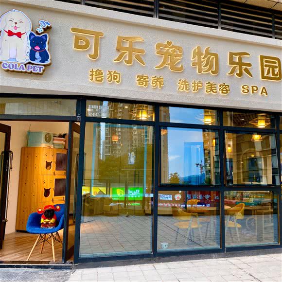 可乐宠物乐园:武汉市江岸区后湖附近