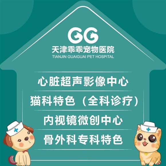 乖乖宠物医院?24小时?急重症诊疗中心·猫科动物:天津城区河北区金钟河大街附近