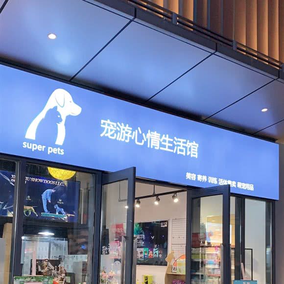 宠游心境生活馆:武汉市江岸区百步亭/二七附近