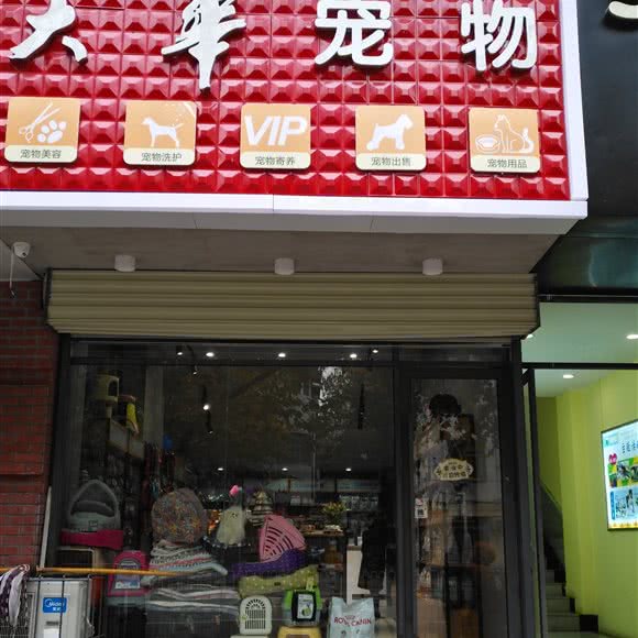 大华宠物:武汉市江岸区竹叶山/花桥附近