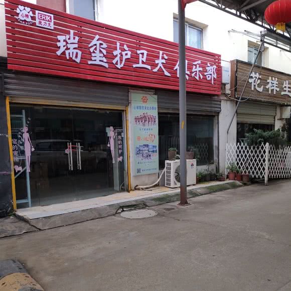 瑞玺护卫犬俱乐部:武汉市江岸区新荣/堤角附近