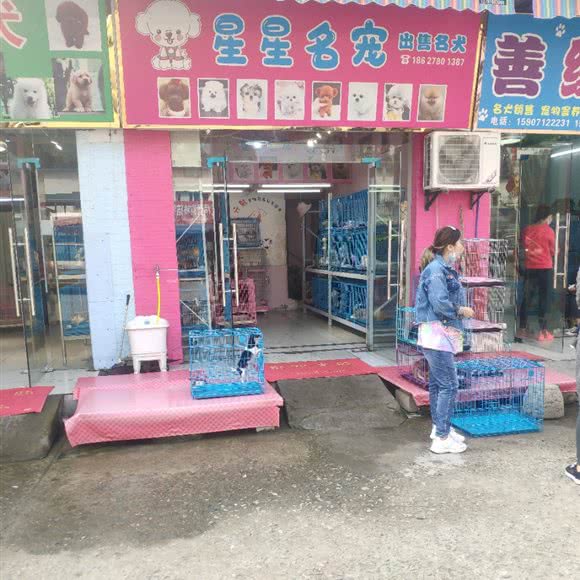 星星名宠:武汉市江岸区新荣/堤角附近