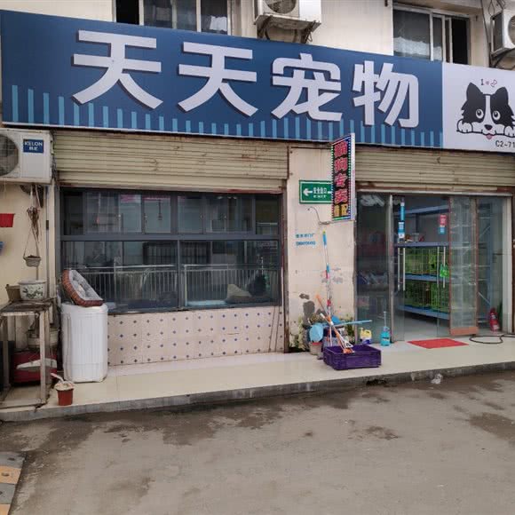 天天宠物:武汉市江岸区新荣/堤角附近
