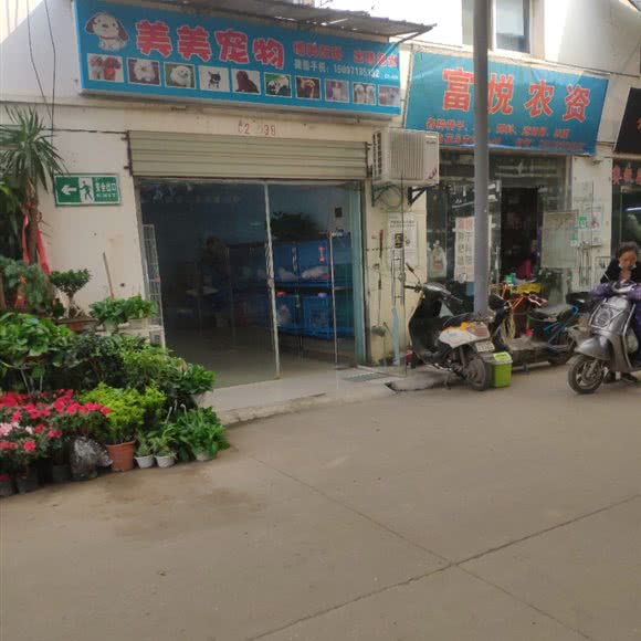 美美宠物:武汉市江岸区新荣/堤角附近