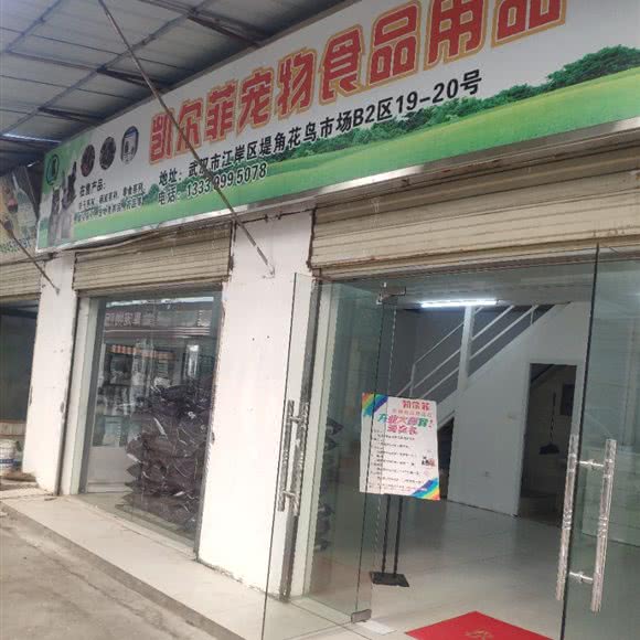 凯尔菲宠物食品用品:武汉市江岸区新荣/堤角附近