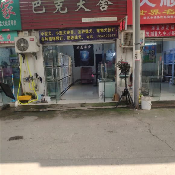 巴克犬舍:武汉市江岸区新荣/堤角附近