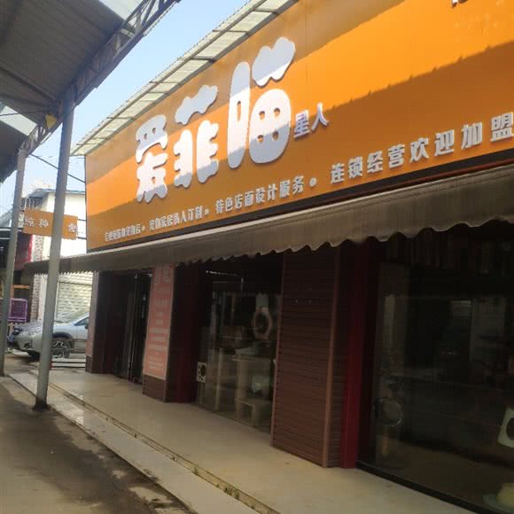 爱菲喵星人:武汉市江岸区新荣/堤角附近