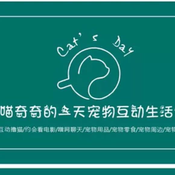 喵奇奇的一天宠物互动生活馆?猫咖:天津城区红桥区本溪路/丁字沽附近