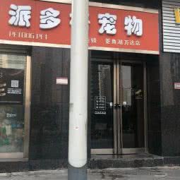 派多格宠物生活馆(万达广场店):武汉市江汉区唐家墩/菱角湖附近