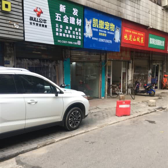 凯撒宠物:武汉市江汉区唐家墩/菱角湖附近