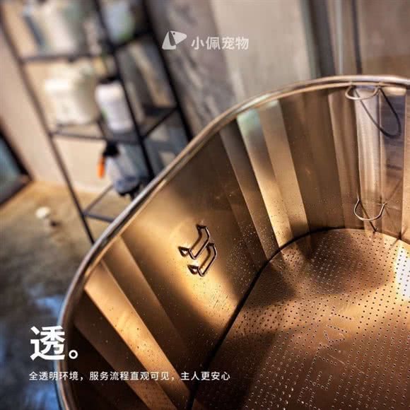 PETKIT小佩狗狗:武汉市江汉区唐家墩/菱角湖附近