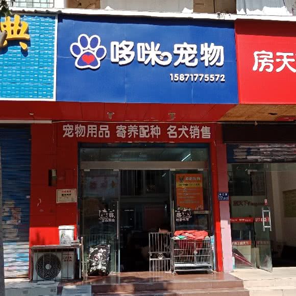 多米宠物会所(荷花池街店):武汉市江汉区唐家墩/菱角湖附近