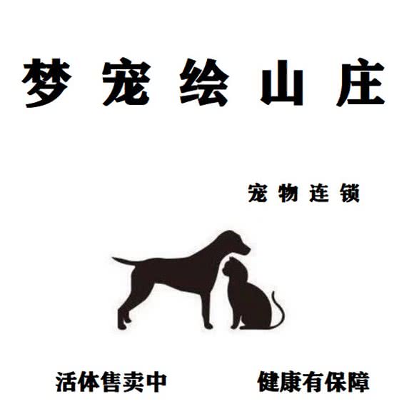 梦宠绘山庄?幼犬专售?武汉犬舍:武汉市江汉区唐家墩/菱角湖附近