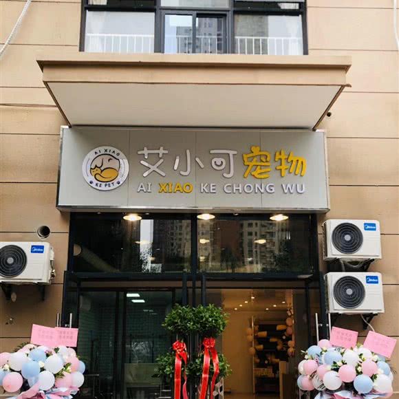 艾小可宠物:武汉市江汉区汉口火车站附近