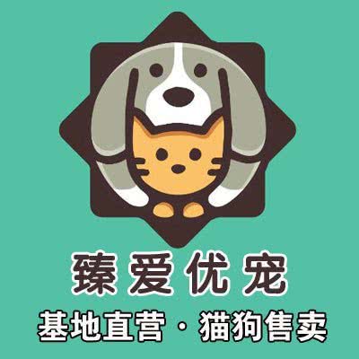 臻爱优宠·猫狗活体售卖(劲松店):北京城区朝阳区劲松/潘家园附近