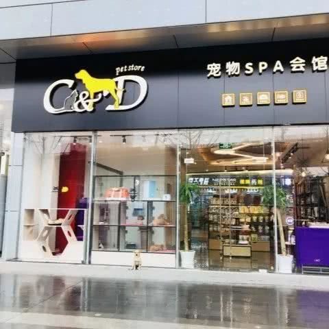 C&D宠物SPA会馆(越秀店):武汉市硚口区硚口路附近
