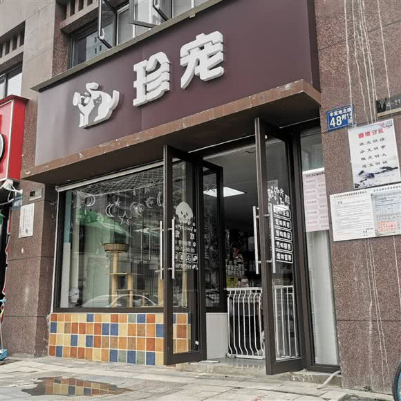 珍宠:武汉市硚口区古田路附近