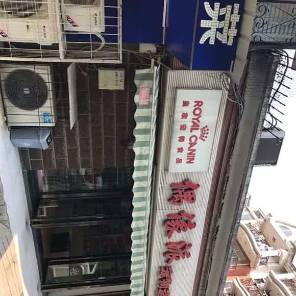 偶像派宠物造型:武汉市汉阳区汉阳大道附近