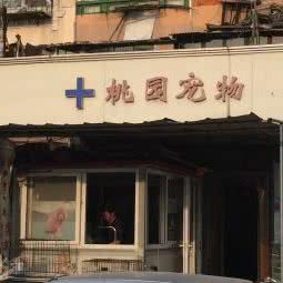新竹宠物医院:天津城区红桥区本溪路/丁字沽附近