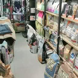 优贝宠物:武汉市汉阳区王家湾附近